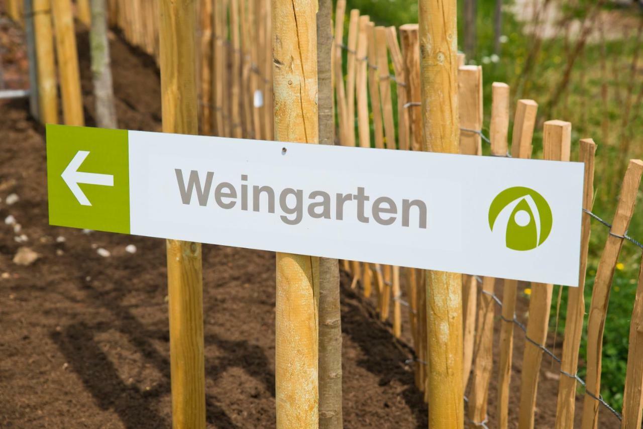 Glamping Resort Biosphaere Bliesgau Kleinblittersdorf Kültér fotó